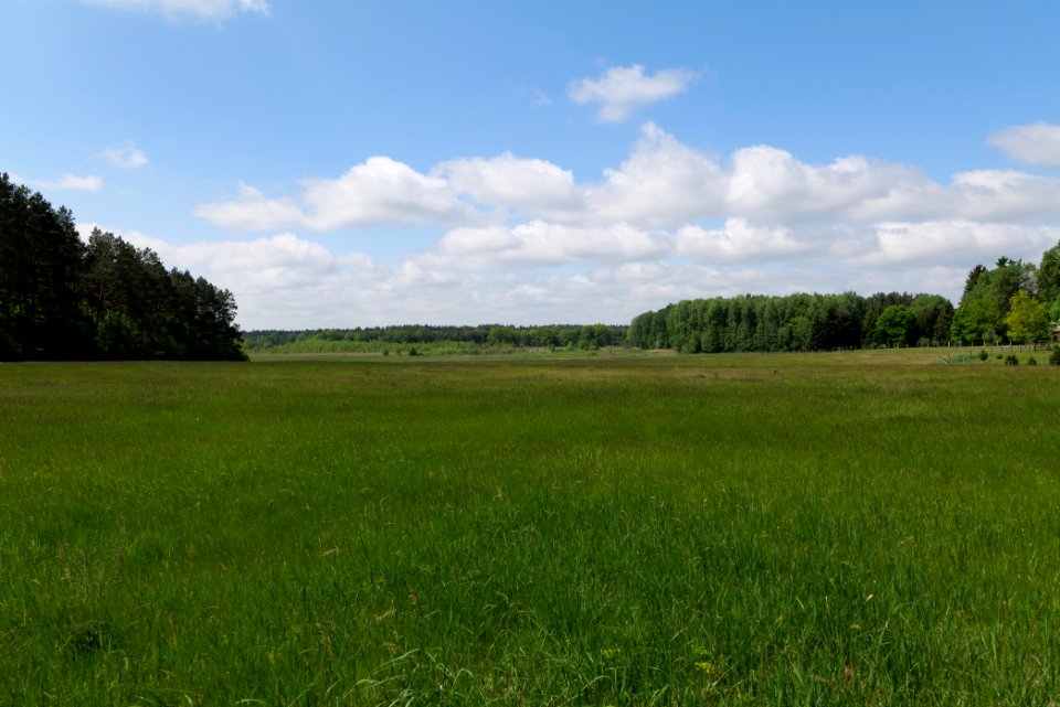 NSG Platkowsee 2021-05-29 07