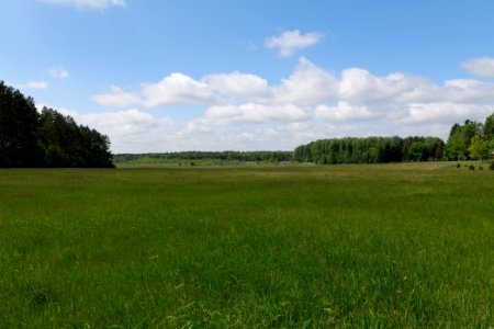 NSG Platkowsee 2021-05-29 07