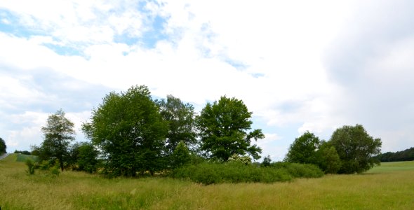 NSG Egelpfuhl bei Oberwetz (1)