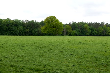 NSG Brüsenwalde 2021-05-29 77