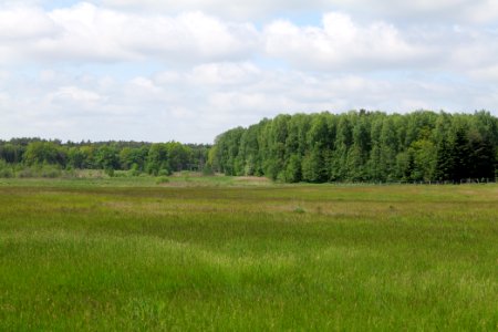 NSG Platkowsee 2021-05-29 12