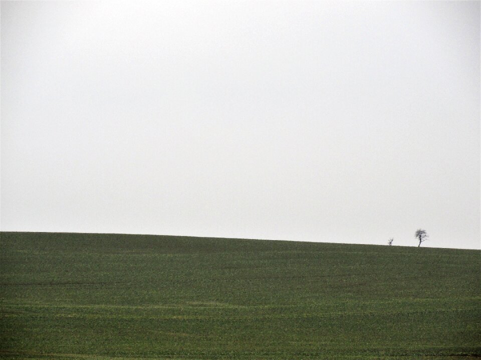 Green demarcation sky
