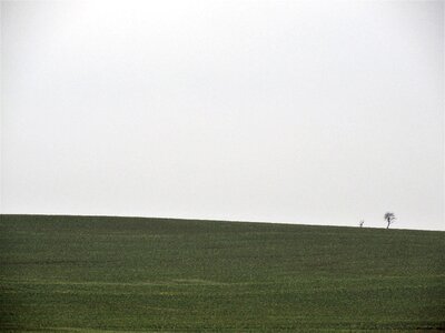 Green demarcation sky