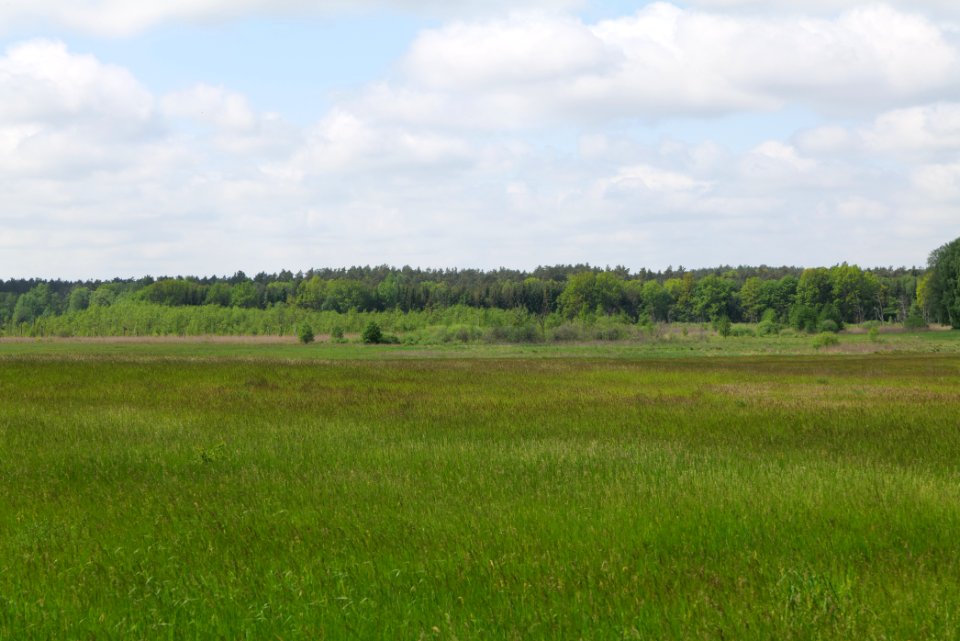 NSG Platkowsee 2021-05-29 14
