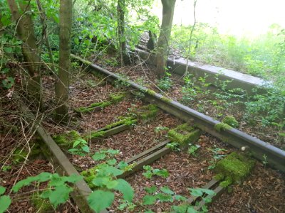 Nowa Cerekwia PKP 6