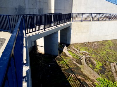 Nowa śluza na Odrze w Raciborzu (6)