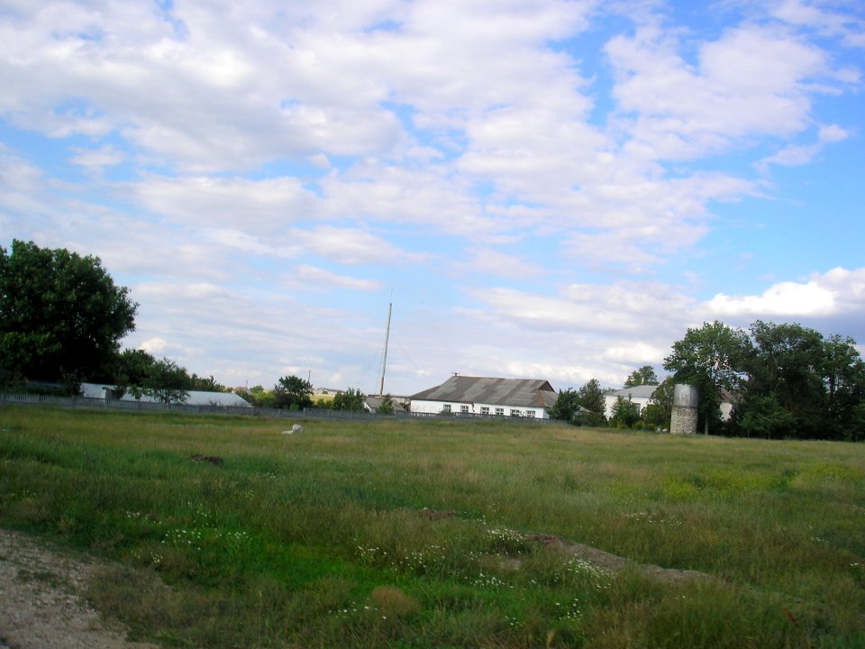 Novozburyevka 6