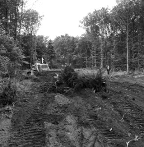 Npc, pijpleidingen, stobben rooien, buldozers, Bestanddeelnr 165-0637