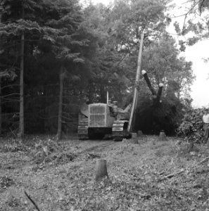 Npc, pijpleidingen, transport bomen, Bestanddeelnr 165-0632