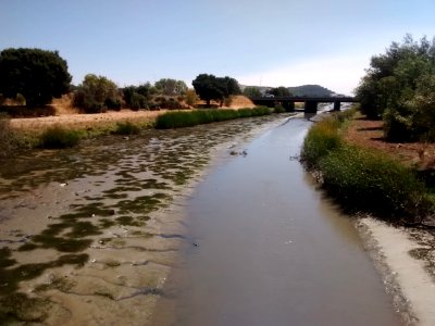 Novato Creek 3