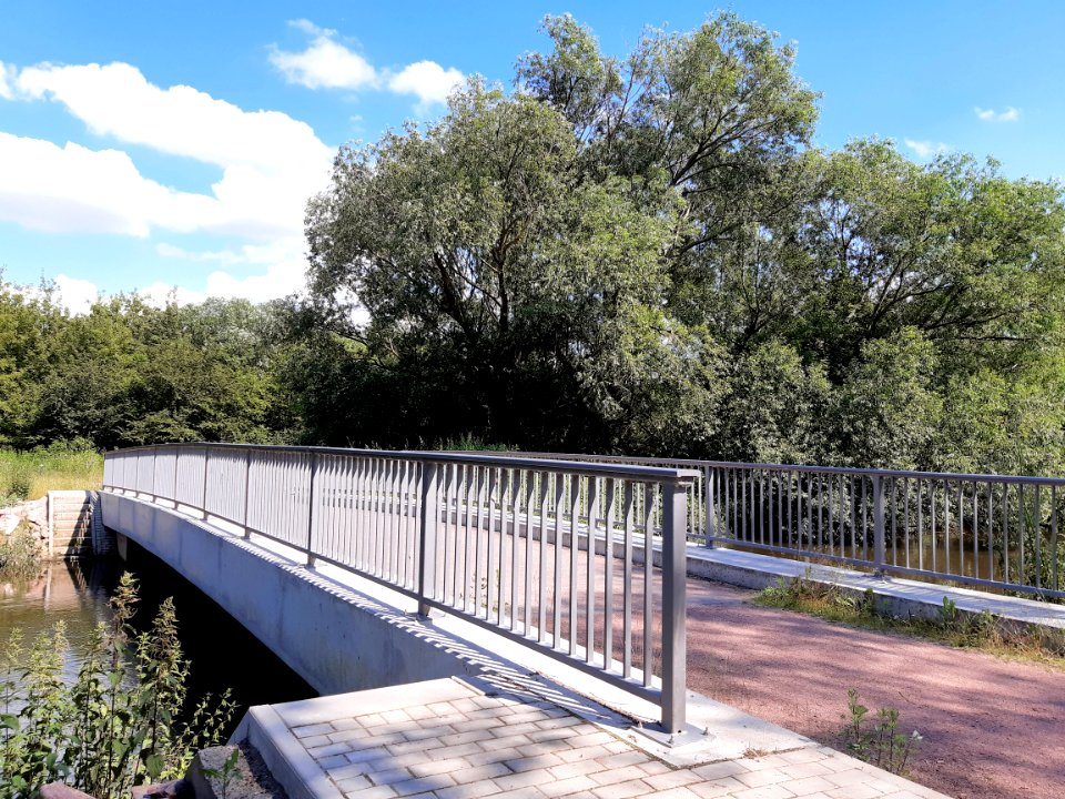 NSG AbteiSaaleaue Brücke