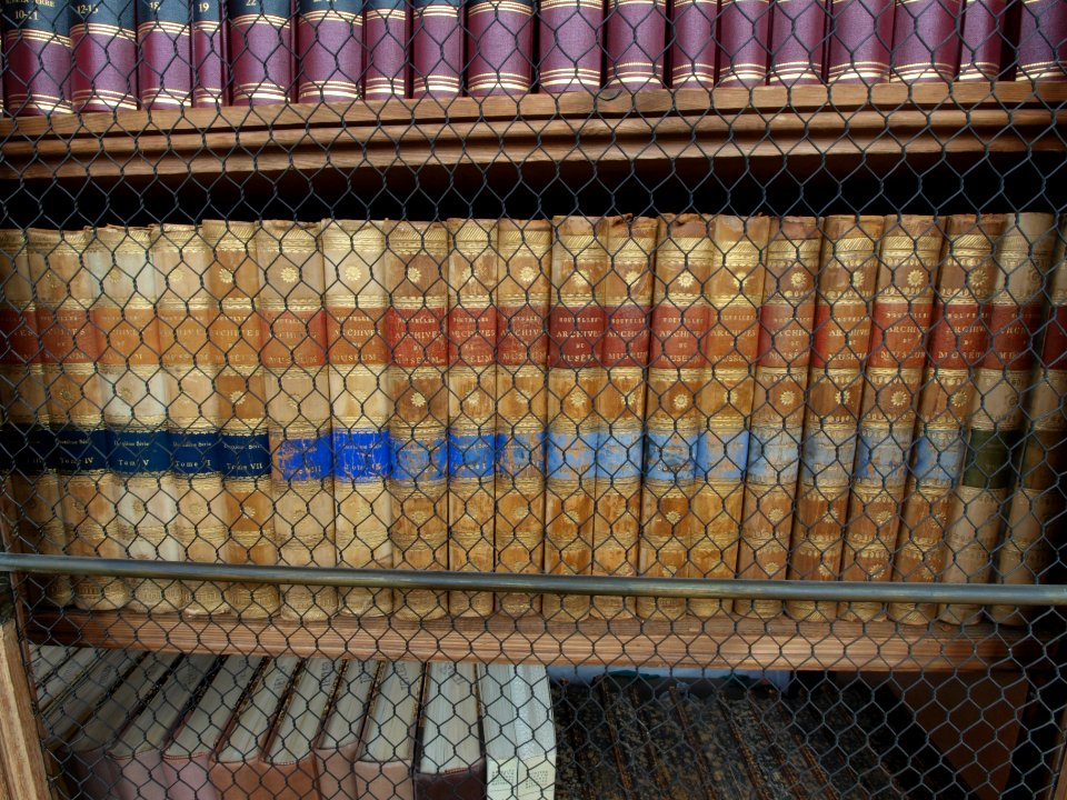 Nouvelles Archives du Museum, at the Teylers museum
