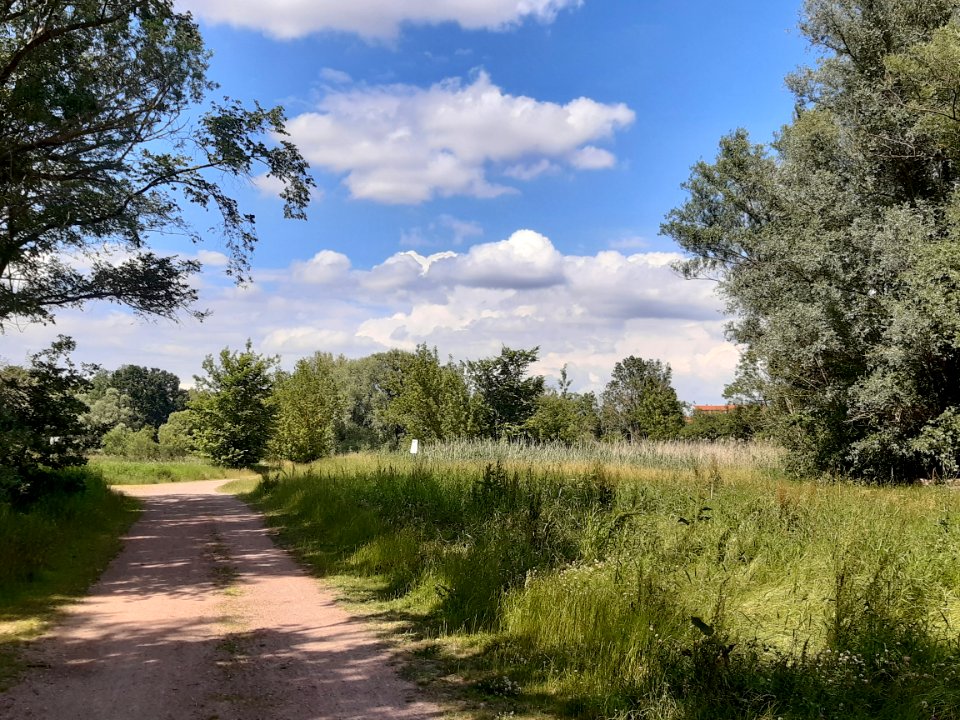 NSG Abtei und Saaleaue bei Planena