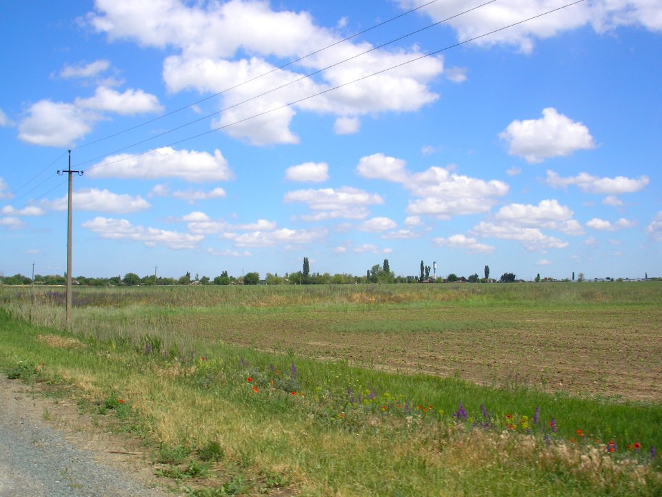 Novaya DerevnyaCr 4