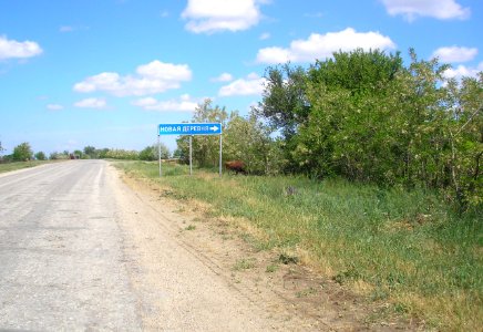 Novaya DerevnyaCr 16