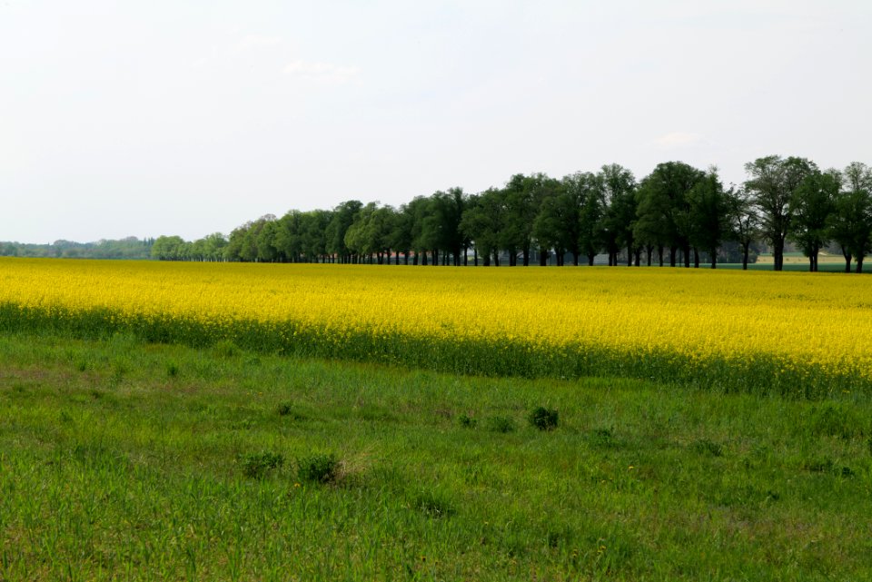 Notte-Niederung 2021-05-11 187