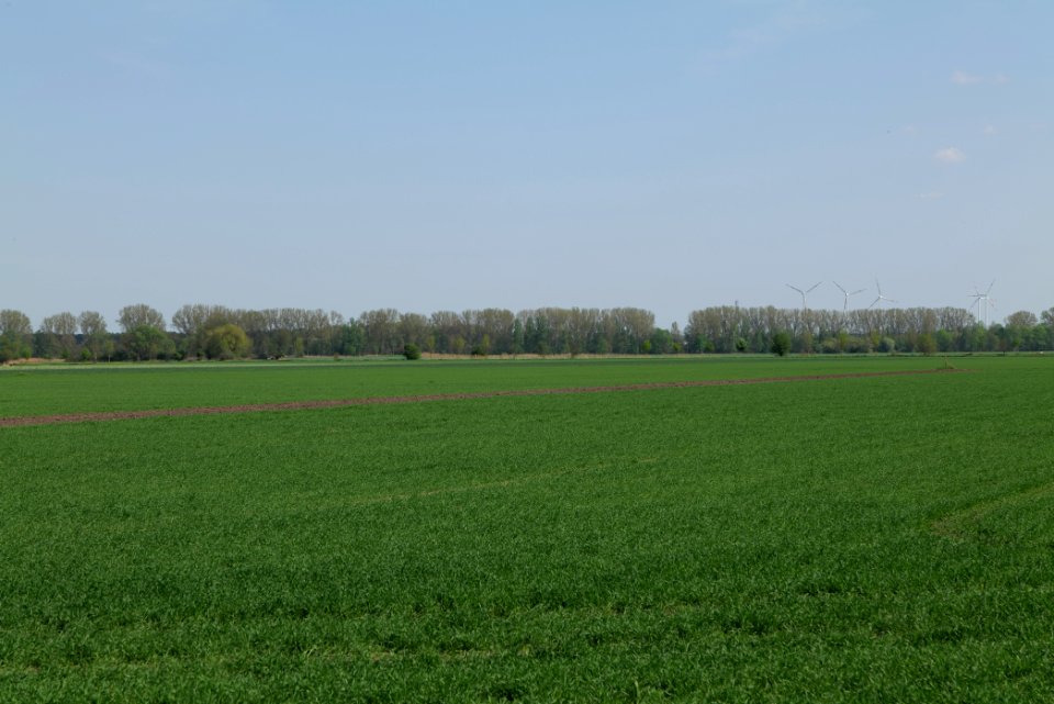 Notte-Niederung 2021-05-11 215