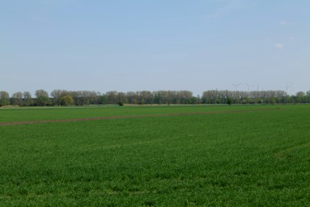 Notte-Niederung 2021-05-11 215