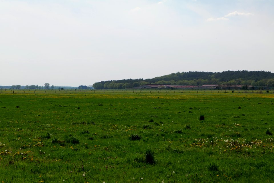 Notte-Niederung 2021-05-11 200