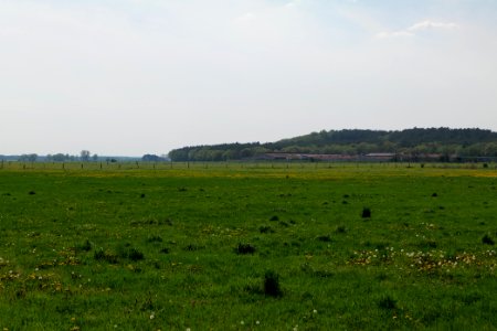 Notte-Niederung 2021-05-11 200