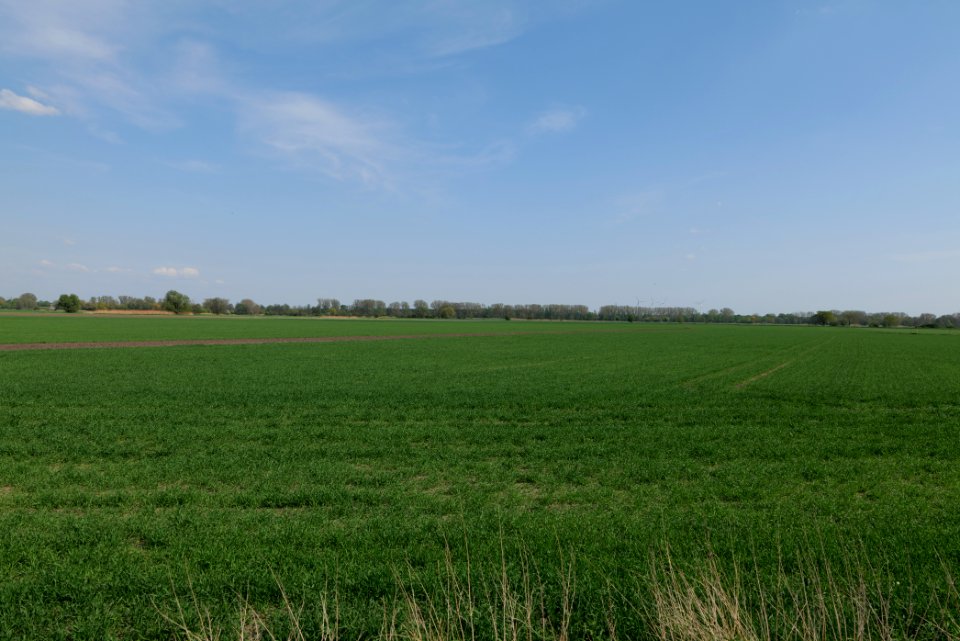 Notte-Niederung 2021-05-11 213