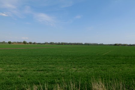 Notte-Niederung 2021-05-11 213