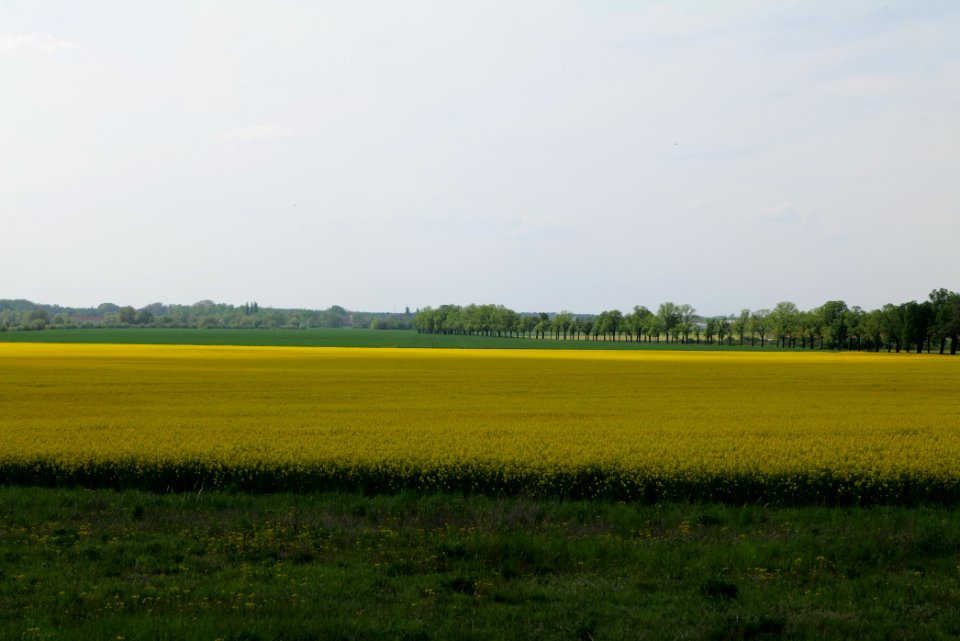 Notte-Niederung 2021-05-11 189