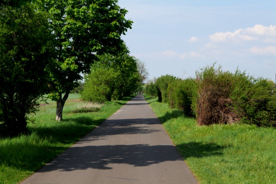 Notte-Niederung 2021-05-11 208