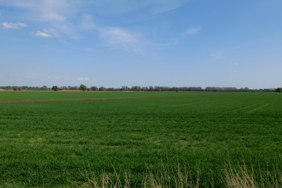 Notte-Niederung 2021-05-11 212