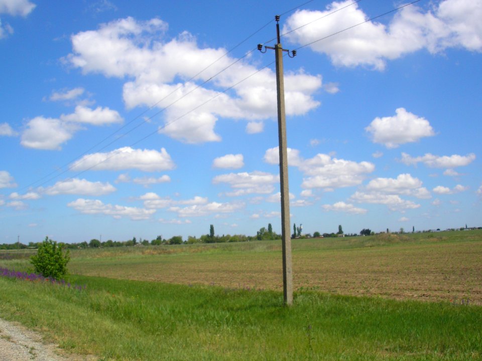 Novaya DerevnyaCr 3