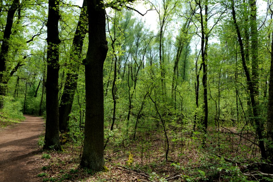 Notte-Niederung 2021-05-11 44
