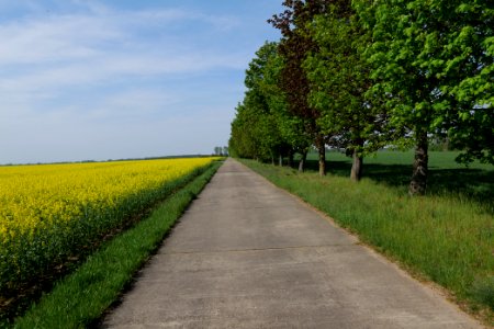 Notte-Niederung 2021-05-11 220