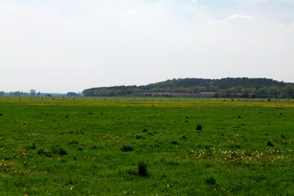 Notte-Niederung 2021-05-11 201