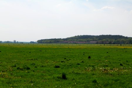 Notte-Niederung 2021-05-11 201