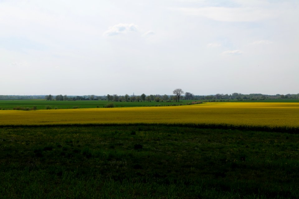 Notte-Niederung 2021-05-11 193