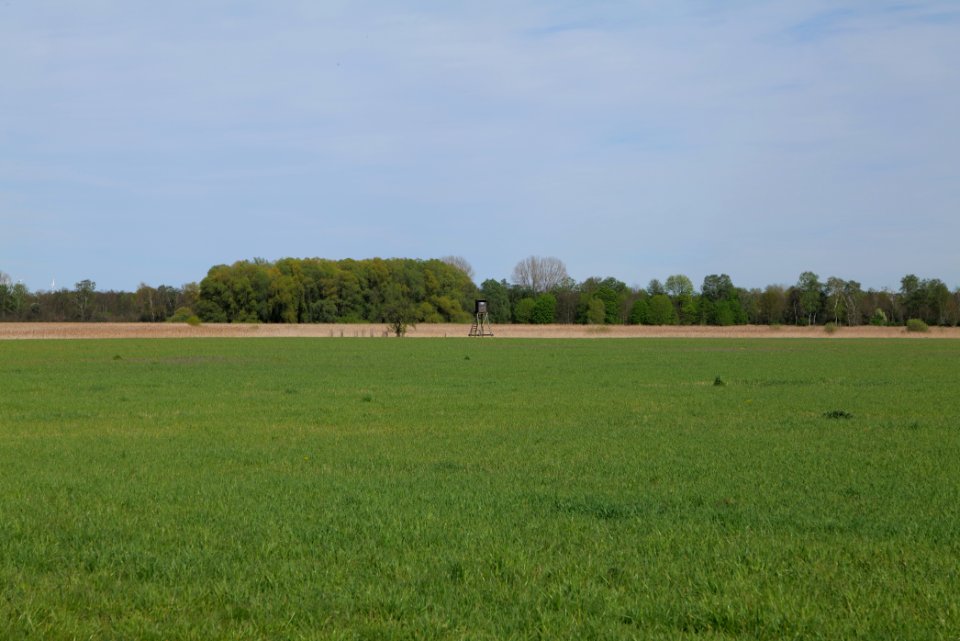 Notte-Niederung 2021-05-09 35