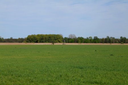 Notte-Niederung 2021-05-09 35