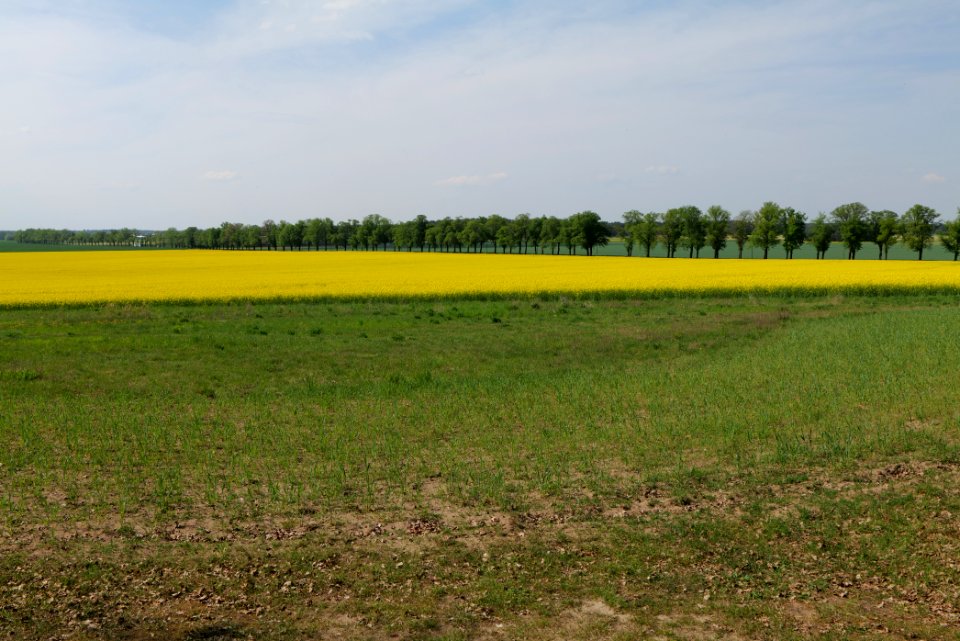 Notte-Niederung 2021-05-11 188