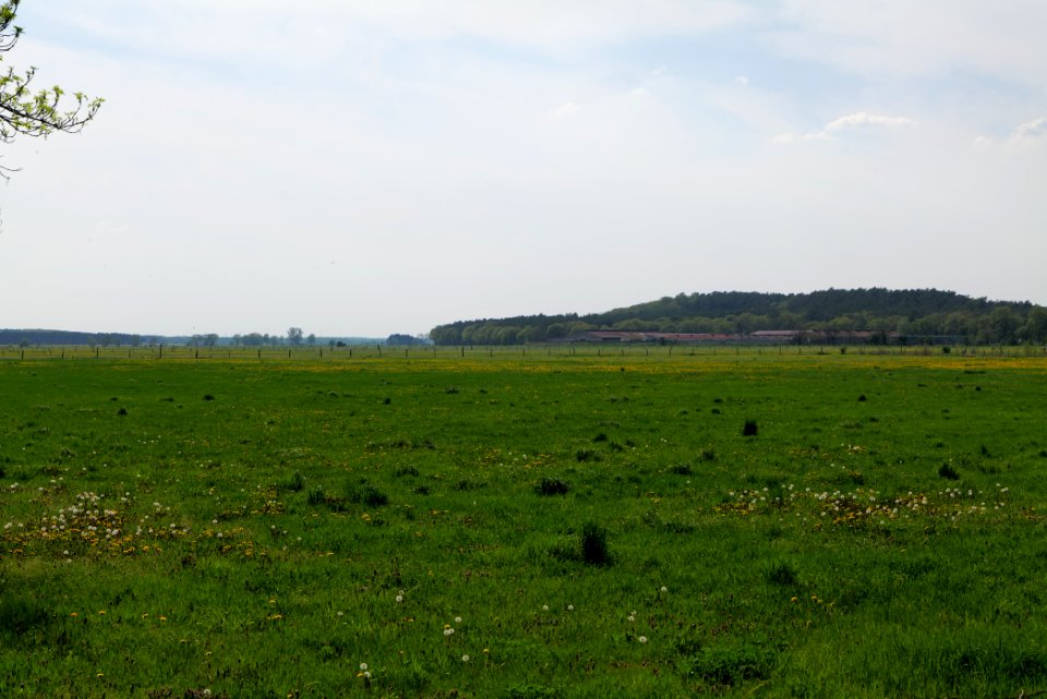 Notte-Niederung 2021-05-11 203
