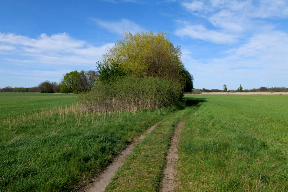 Notte-Niederung 2021-05-09 31