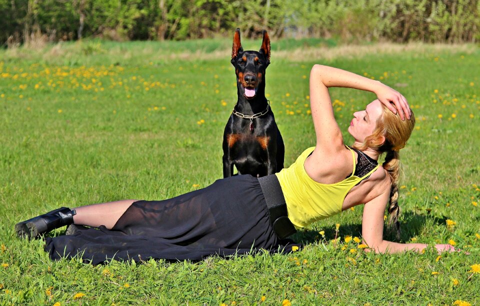 Dog field love