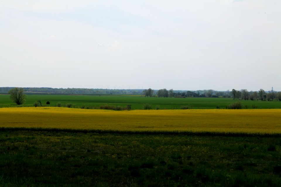 Notte-Niederung 2021-05-11 191