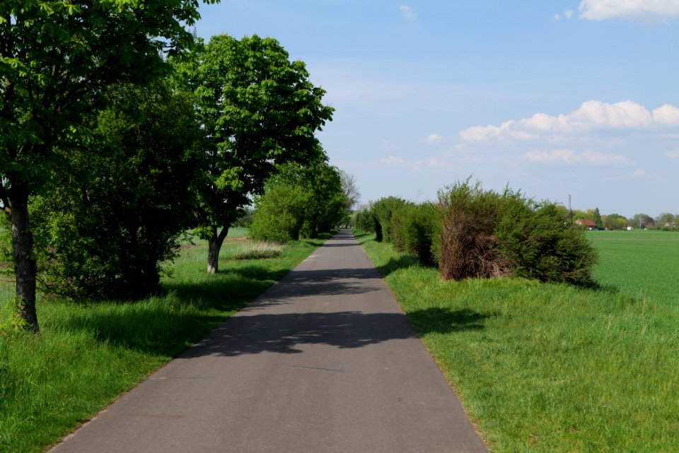 Notte-Niederung 2021-05-11 210