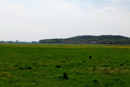 Notte-Niederung 2021-05-11 202