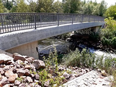 NSG AbteiSaaleaue BrückeNördl