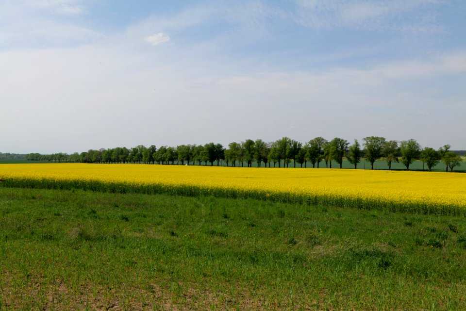 Notte-Niederung 2021-05-11 170