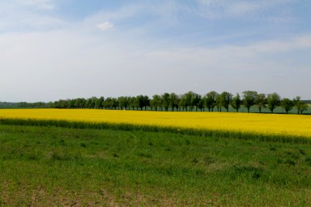 Notte-Niederung 2021-05-11 170