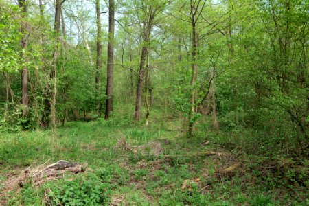 Notte-Niederung 2021-05-11 55