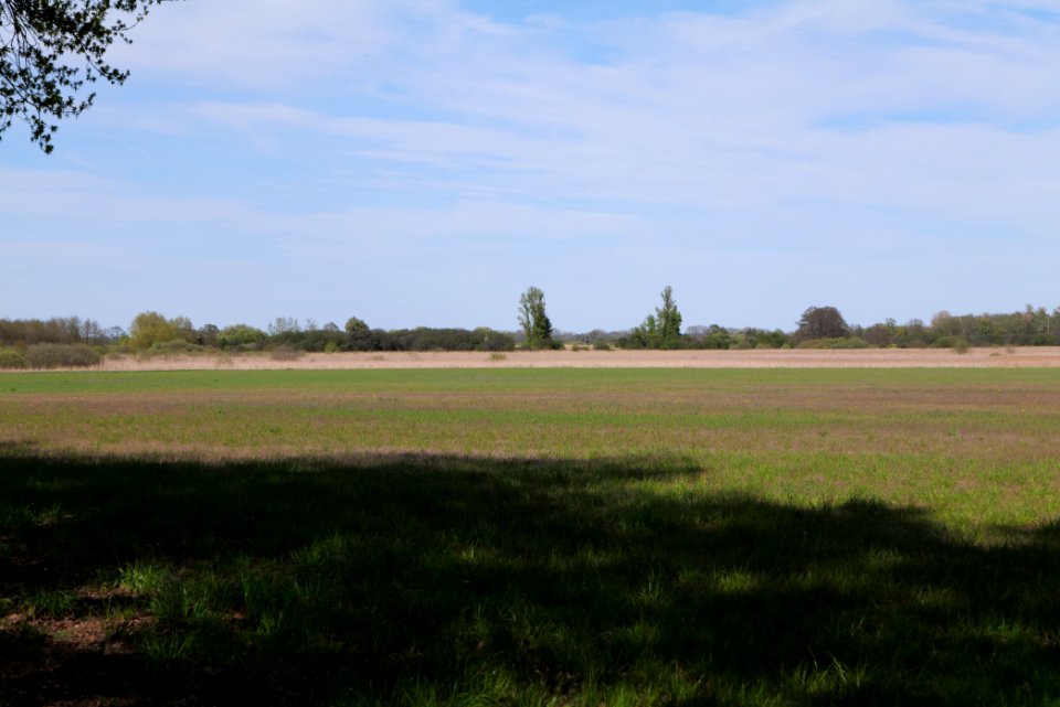 Notte-Niederung 2021-05-09 29