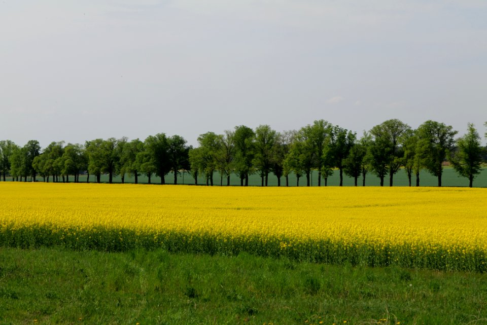 Notte-Niederung 2021-05-11 172